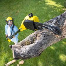 Best Lawn Watering Services  in Caddo, OK